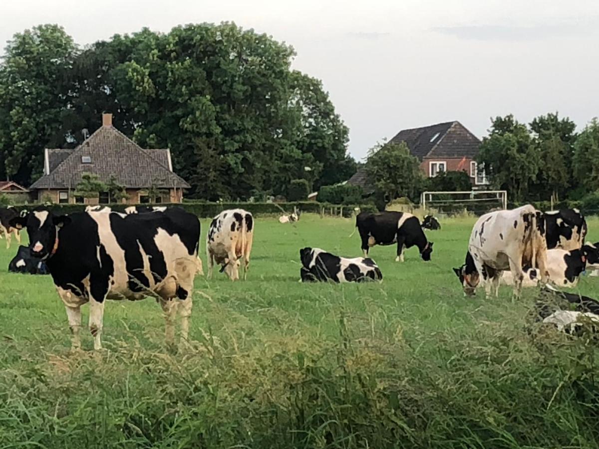 Heerlijk Gaanderhei Bed & Breakfast Gaanderen Eksteriør bilde